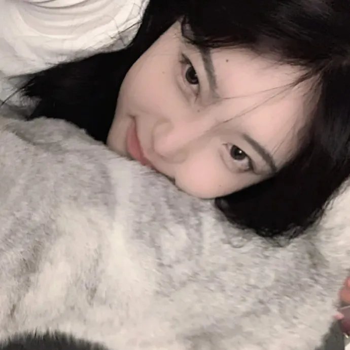 鸣鸿传