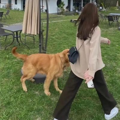 导购女郎